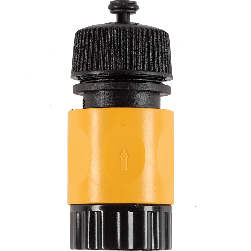 Miniatura 12